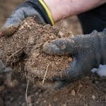 Biogazownia rolnicza to nie tylko prąd